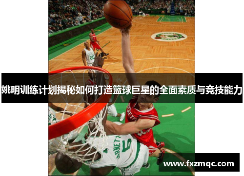 姚明训练计划揭秘如何打造篮球巨星的全面素质与竞技能力